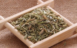 如何選擇茶葉包裝機(jī)廠家？選擇標(biāo)準(zhǔn)解析茶葉包裝機(jī)廠家。